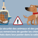 Illustration pour clinique veterinaire du Faubourg - Paris 10