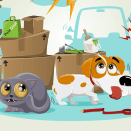 Illustrations mascottes pour la gamme de produits PetsCool (Anidev)