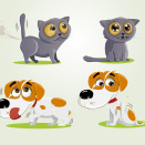 Illustrations mascottes pour la gamme de produits PetsCool (Anidev)