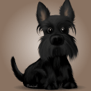 Scottish Terrier