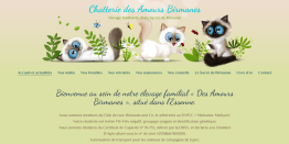 Site Internet de la chatterie des Amours Birmans.