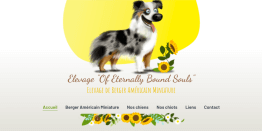 Site Internet de l'élevage Of Eternally Bound Souls'.