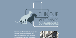 Site Internet de la Clinique du Faubourg - Paris 10