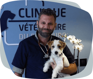 Manuel Daniel Lacombe