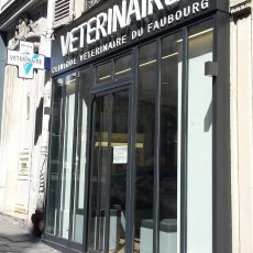 clinique du faubourg