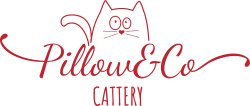 Pillow & Co - Cattery